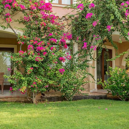 Hotel Mariposas 빌라시미우스 외부 사진